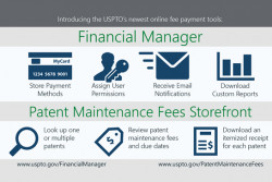 Financial Manager Patent Maintenance Fees storefront infographic